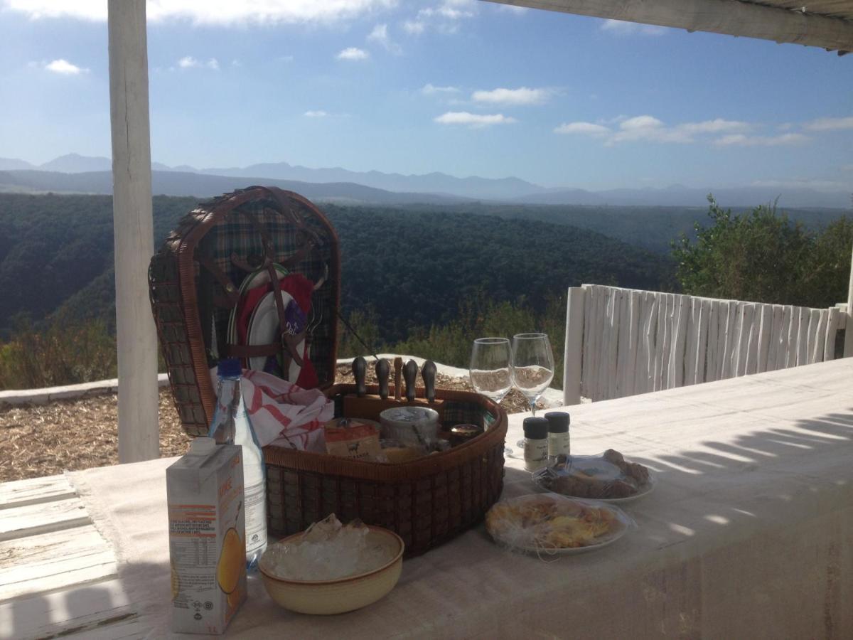 Protea Wilds Retreat Hotel Harkerville Ngoại thất bức ảnh